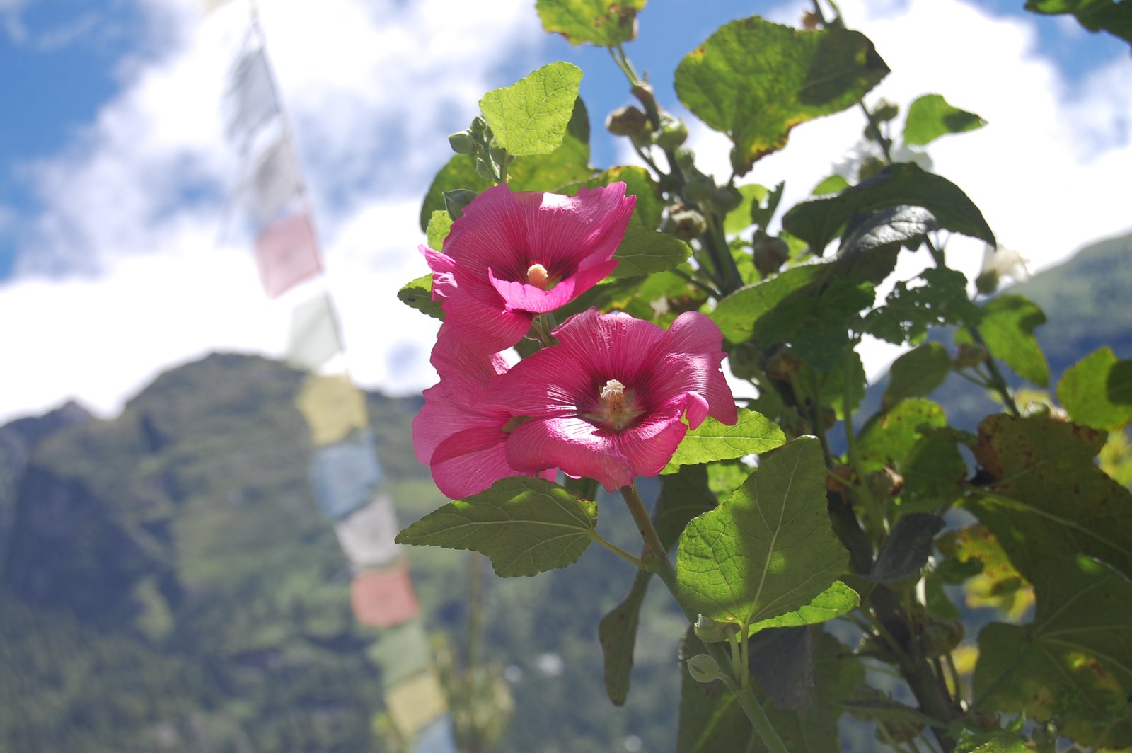 Annapurna, Tag 3