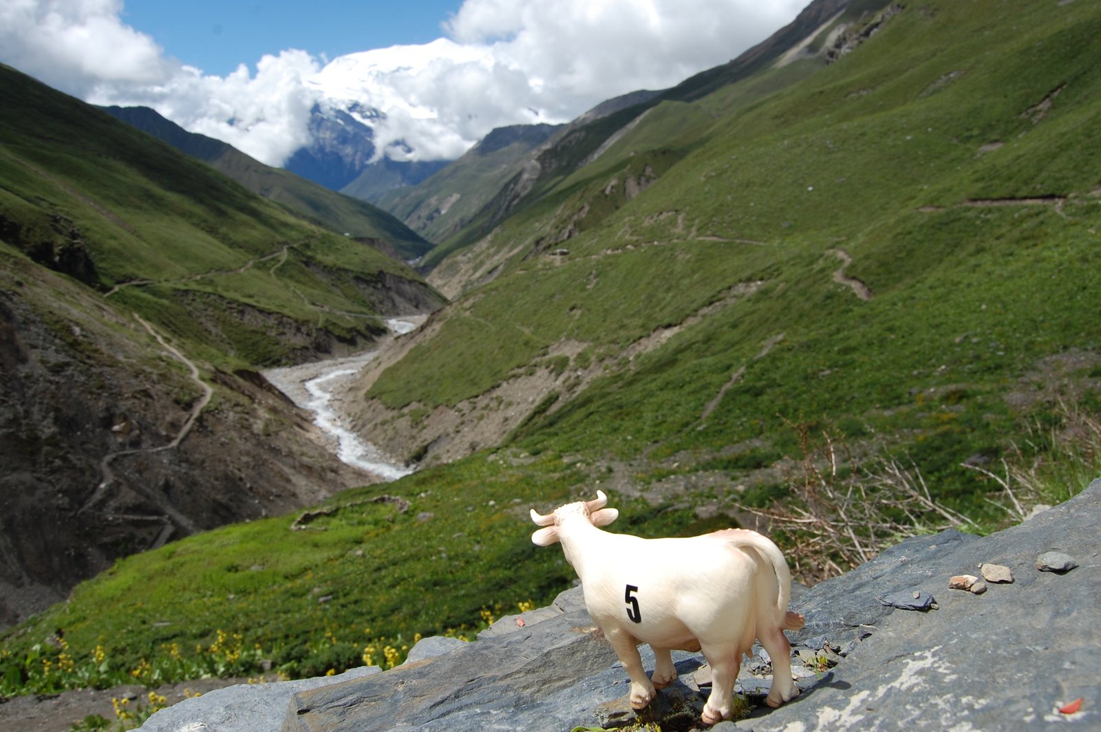 Annapurna, Tag 8