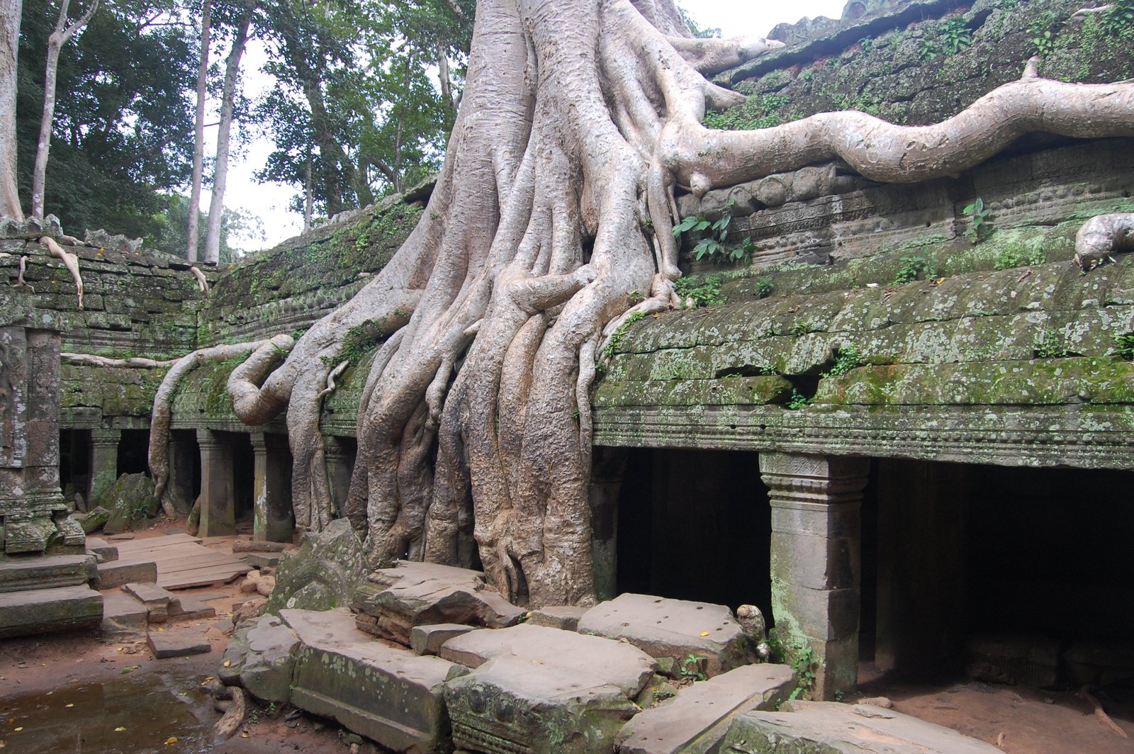 Tempel Tag 2 – Die große Runde