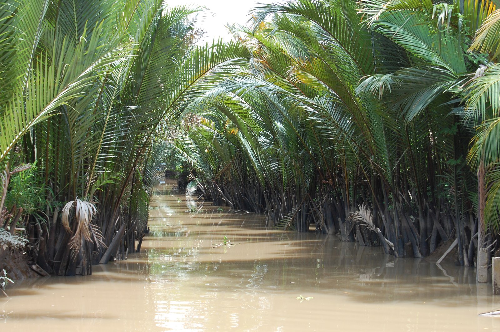 Ben Tre & My Tho – Das Mekongdelta