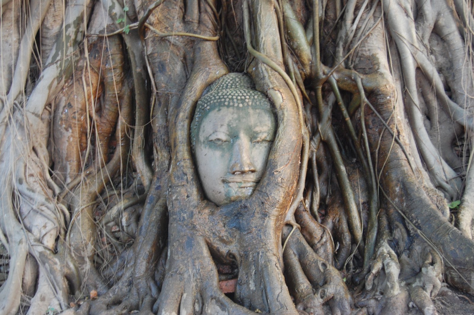 Ayutthaya