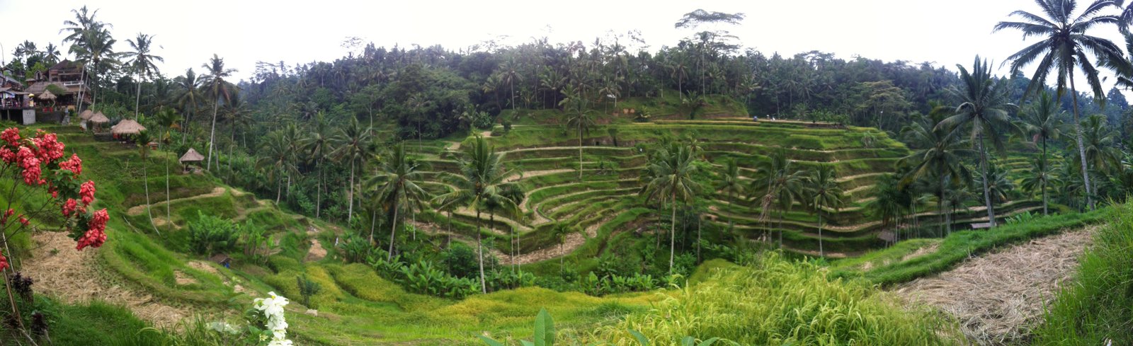 We made it to Indonesia!
