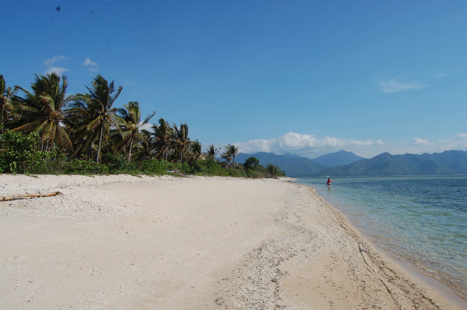 Gili Air – Turtle Island