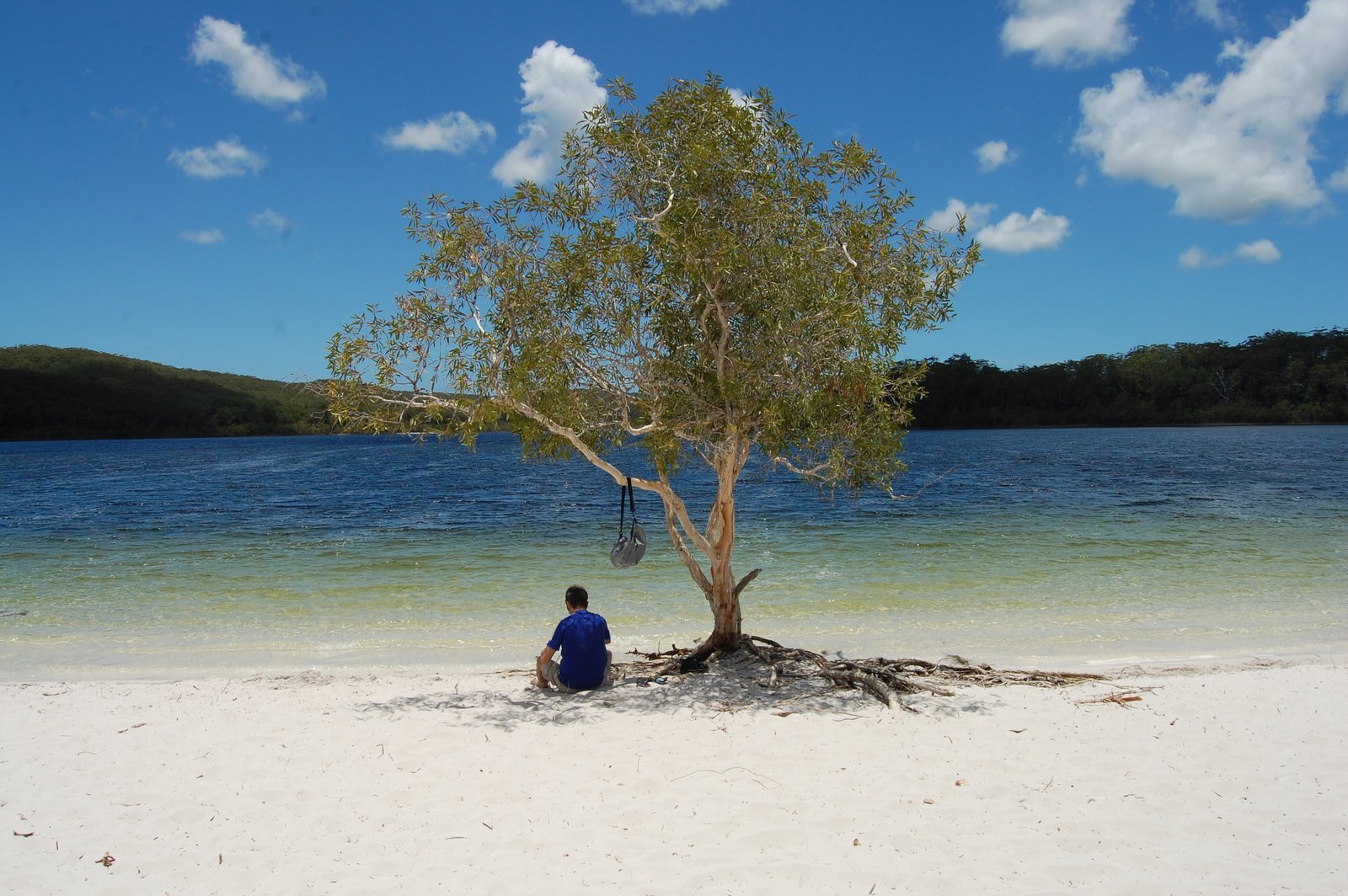 Fraser Island und der 72 Milen Strand